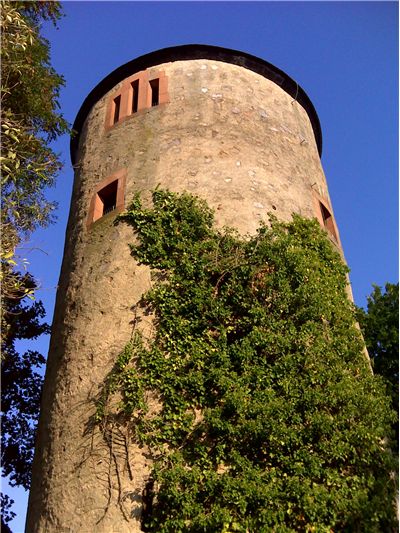 Picture Of Mill Tower