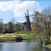 Picture Of Windmill Water Trees