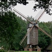 Picture Of Windmill Wing